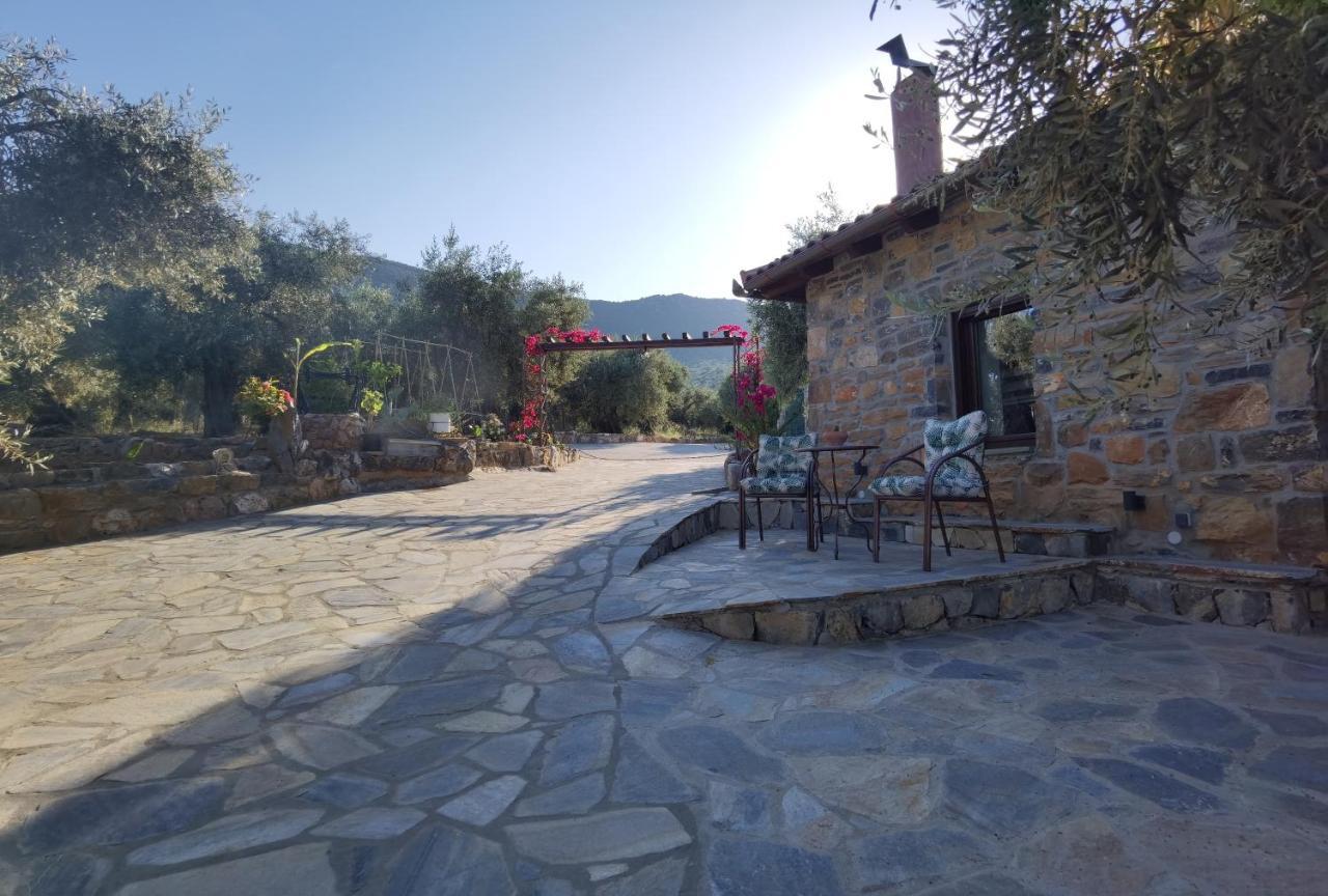 Villa Elaion Thea2-Nies Sourpi Exterior foto