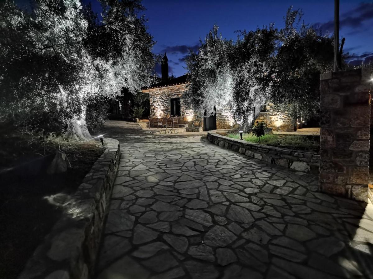 Villa Elaion Thea2-Nies Sourpi Exterior foto