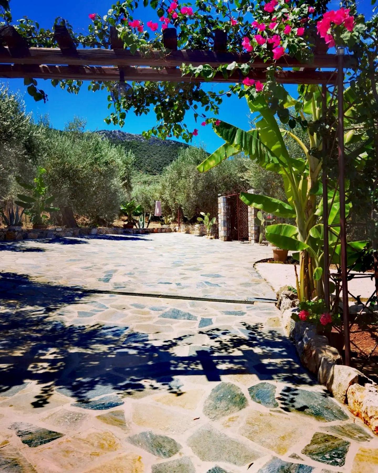 Villa Elaion Thea2-Nies Sourpi Exterior foto