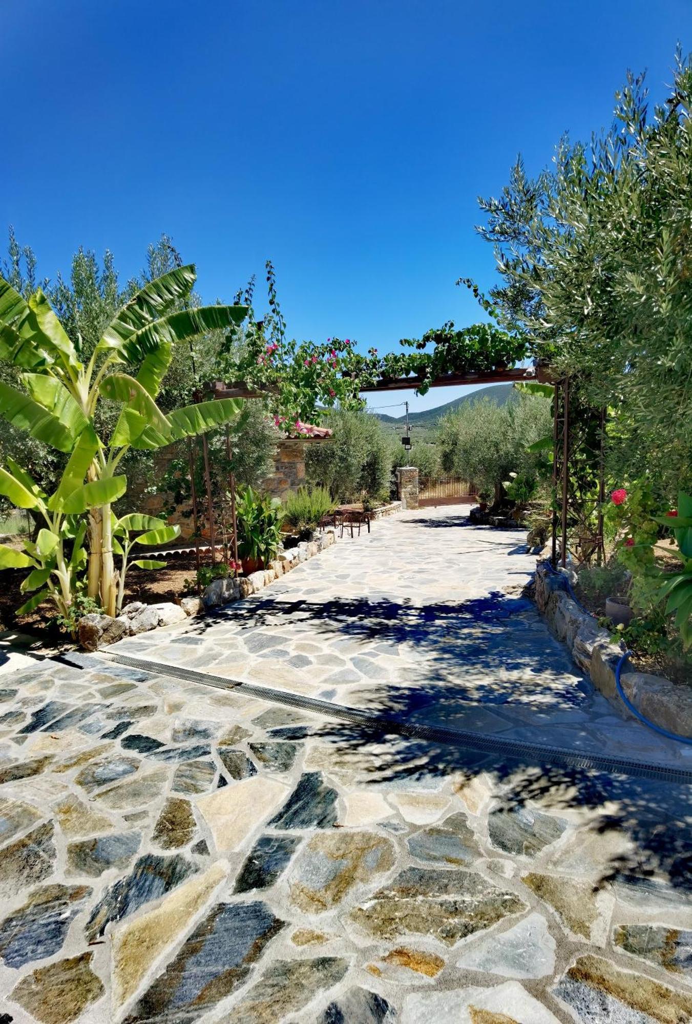 Villa Elaion Thea2-Nies Sourpi Exterior foto
